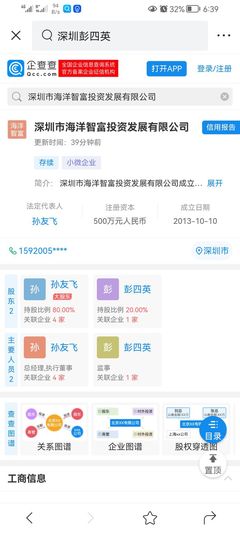 深圳精神 孙海洋的实业之路与时代担当